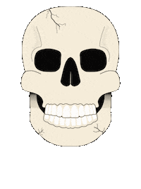 Health Head Sticker