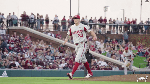 Lets Go Baseball GIF by Arkansas Razorbacks