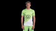 France No GIF by VfL Wolfsburg