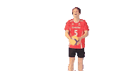 swiss_volley svmnt Sticker