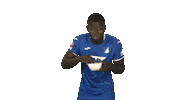 Excited Tsg Hoffenheim Sticker by Bundesliga