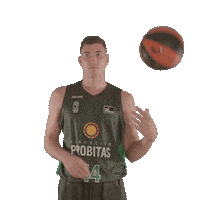 Balling Liga Endesa Sticker by ACB