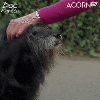 Oh No Reaction GIF by Acorn TV