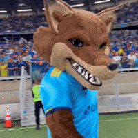 Futebol Mascote GIF by Cruzeiro Esporte Clube