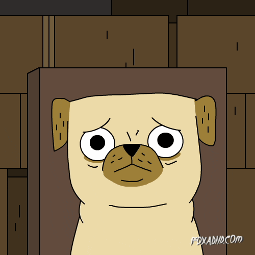 Cat Fox GIF by Animation Domination High-Def