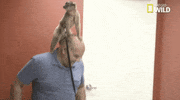 nat geo wild pets GIF by Dr. K's Exotic Animal ER