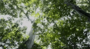 viceland GIF by Earthworks