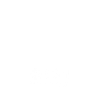 25 Aprile Sticker by ESN Venezia