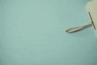 森の映画祭 夜空と交差する森の映画祭 GIF by Forest Movie Festival