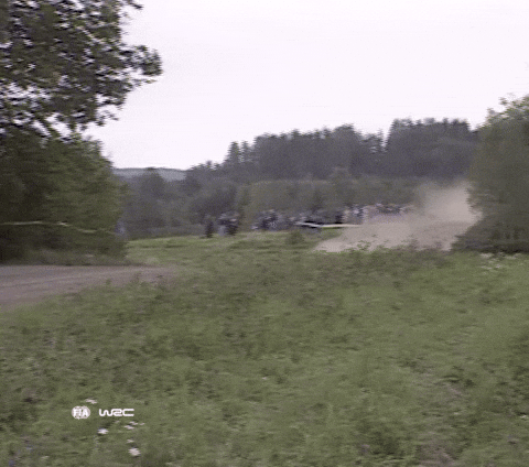 Off Road Exit GIF by FIA World Rally Championship