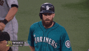 sea GIF by MLB