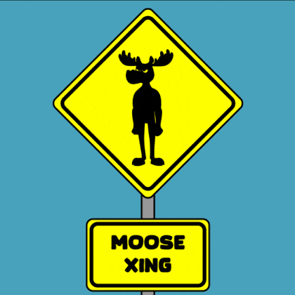 DoYouMoose nft walking blockchain web3 GIF