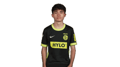 Football Applause Sticker by Bundesliga