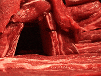 Stop Motion Football GIF by PES