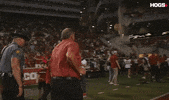 Football Sam GIF by Hogs+