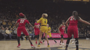 #hawkeyes #iowa GIF by University of Iowa Hawkeyes Athletics
