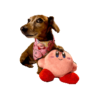Kirby Daschund Sticker by Geekster Pets