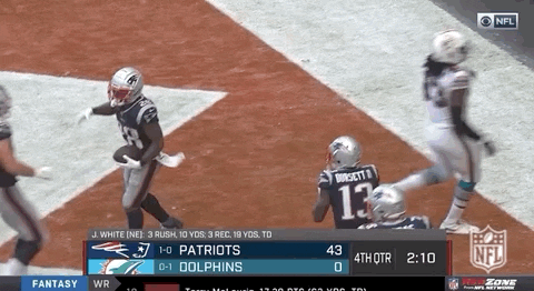 New England Patriots Football GIF by NFL