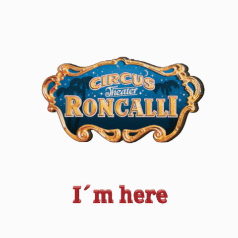 CircusTheaterRoncalli giphyupload here circus im here GIF