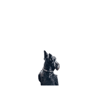 I See You Hello Sticker by Revel Photo Co.