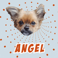 Dog Angel GIF