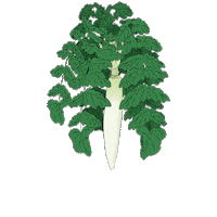 Happy Radish Sticker