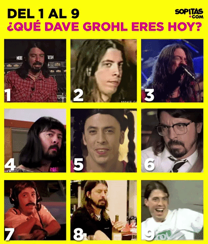 davegrohl_foofighters_meme GIF