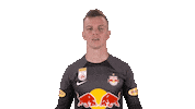 Celebration Sticker by FC Red Bull Salzburg