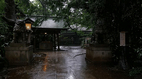 mood GIF