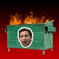 Donald Trump GIF by Creative Courage