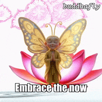 Flower Peace GIF by BuddhaFlyJourney