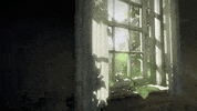 Wallpaper GIF