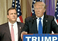 Confused Donald Trump GIF