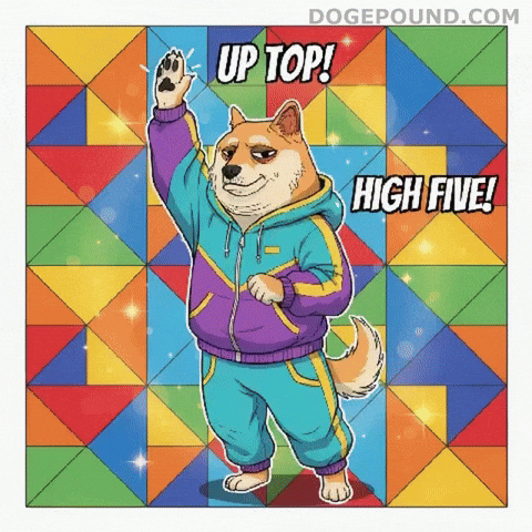 High Five Shiba Inu GIF by Doge Pound