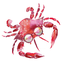 Sunglasses Fish Sticker by Imbarro Home & Fashion