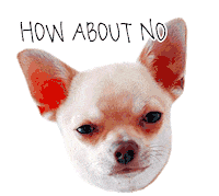 Chihuahua No Sticker