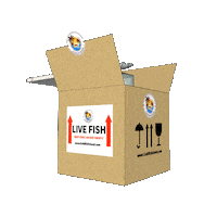 goldfishisland box package goldfish gfi Sticker