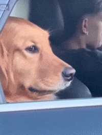 Peace Dont Talk To Me GIF