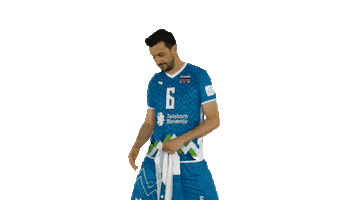 Mitja Gasparini Flag Sticker by Generali.si