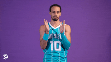 Basketball Celebrate GIF by Charlotte Hornets