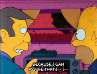 Season 2 GIF by The Simpsons
