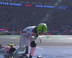Formula 1 Win GIF
