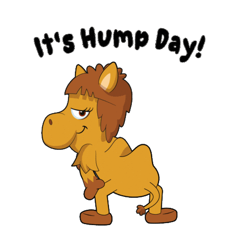 Wednesday Hump Day Sticker by VeeFriends