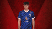 Hansa Rostock Vbl GIF by Bundesliga