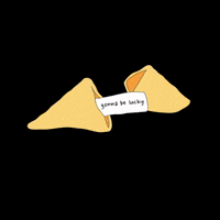 qi123456789 sweebelly GIF