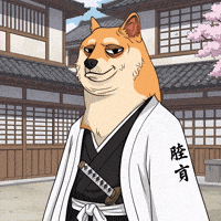 Shiba Inu Nft GIF by Doge Pound