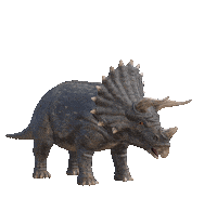 3D Dinosaur Sticker by Stage Magic