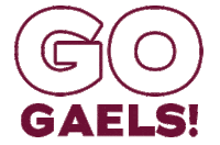 Go Team Sticker by Iona College