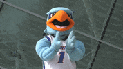 sunynewpaltz hugo suny new paltz suny new paltz GIF