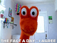 thefactaday fun yes good orange GIF